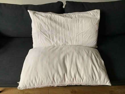 Photo of free John Lewis Feather & Down Pillows (Ewell, KT19) #2