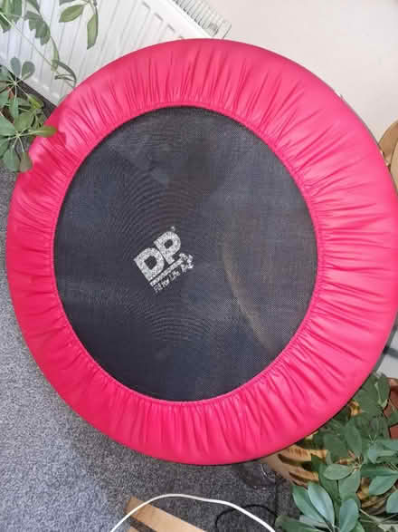 Photo of free Trampoline (Edinburgh EH4) #2