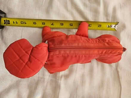 Photo of free squirrel bag (Roxbury) #2