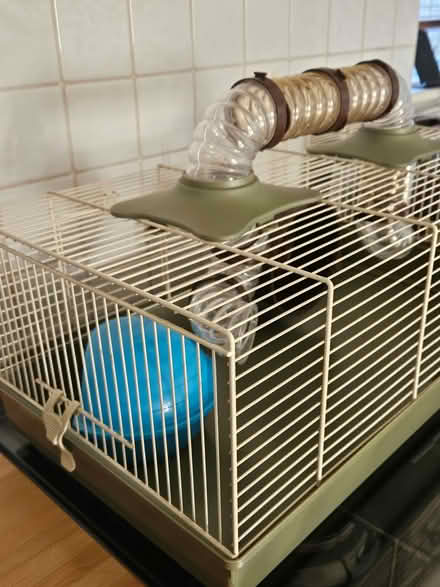 Photo of free Hamster cage (Deanshanger MK19) #3