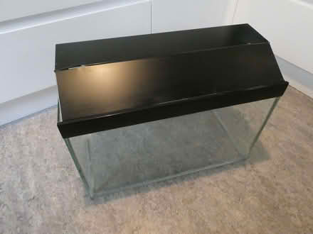 Photo of free Aquarium / vivarium (Southville BS3) #1