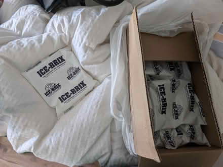 Photo of free Ice packs (Burbank) #1