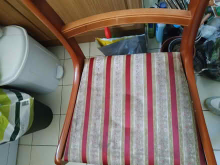 Photo of free 4 Solid wooden chairs (Langney BN23) #2