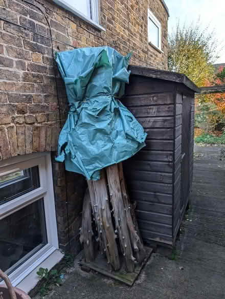 Photo of free Fire or DIY wood (CT10) #1