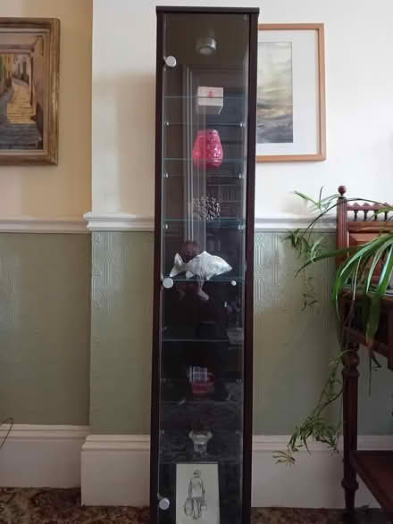 Photo of free shop display cabinet (Dun Laoghaire central) #1