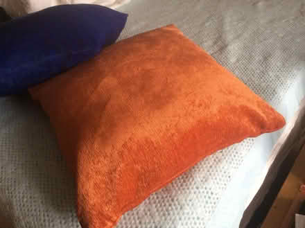 Photo of free Scatter cushions (Barnet, Stirling Corner WD6) #2