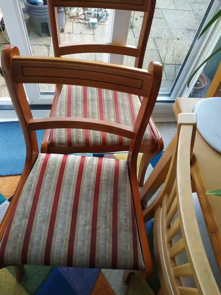 Photo of free 4 Solid wooden chairs (Langney BN23) #1