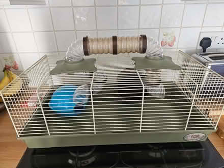Photo of free Hamster cage (Deanshanger MK19) #1