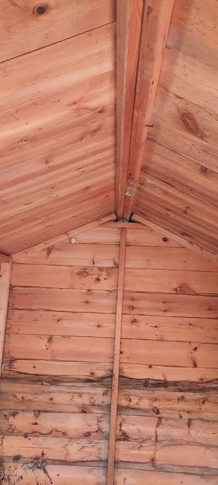 Photo of free Small shed (Culgaith CA10) #3