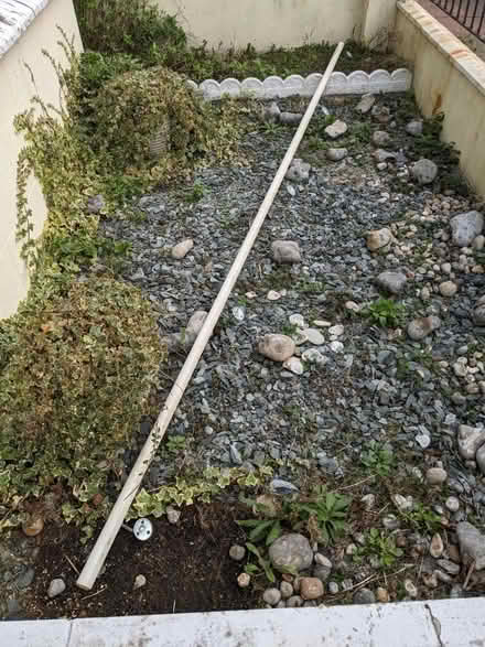 Photo of free Wooden handrail (Eastbourne) #2