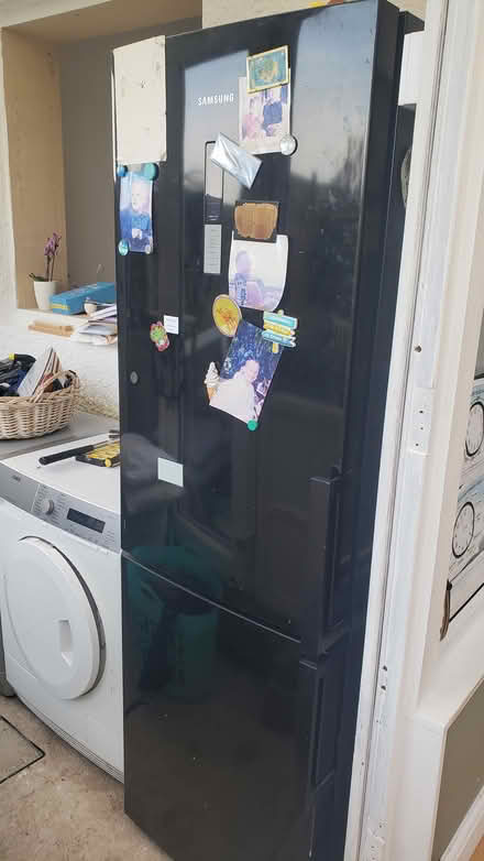 Photo of free Fridge freezer (TN38) #1