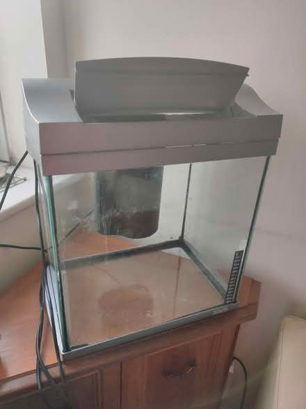 Photo of free Tetra 30L fishtank (SE8 3ET) #1