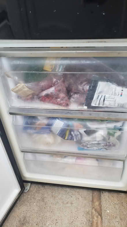 Photo of free Fridge freezer (TN38) #2