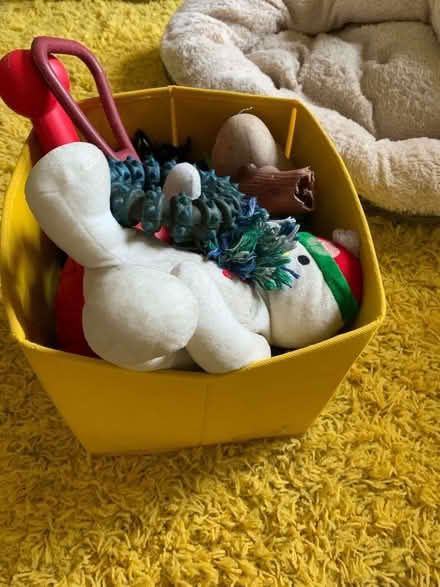 Photo of free Box of used dog toys (Southport PR8) #1