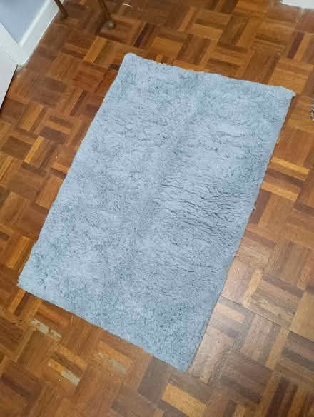 Photo of free Small shaggy rug (Bradway S17) #1
