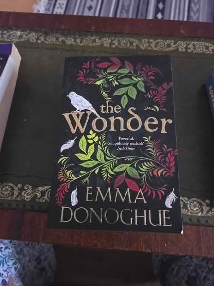 Photo of free The wonder (Dublin 16) #1