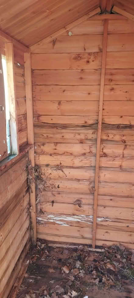 Photo of free Small shed (Culgaith CA10) #4