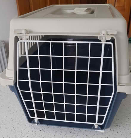 Photo of free Cat carrier (Bearsden) #2