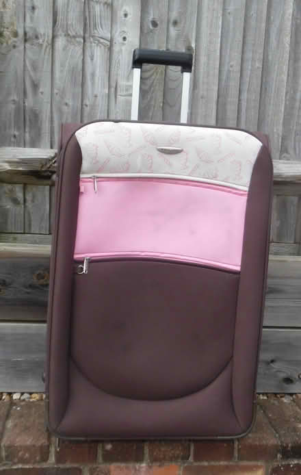 Photo of free 3 large suitcases (Winterbourne, Lewes. BN7) #3