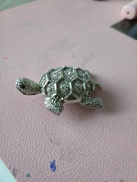 Photo of free Cute turtle pin (Dublin 16) #1