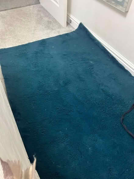 Photo of free Teale Rug (Lightwood ST3) #1