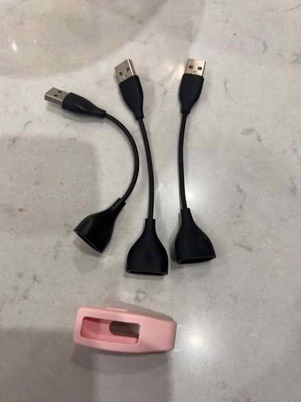Photo of free Old Fitbit chargers and holder (Whinmoor LS14) #1