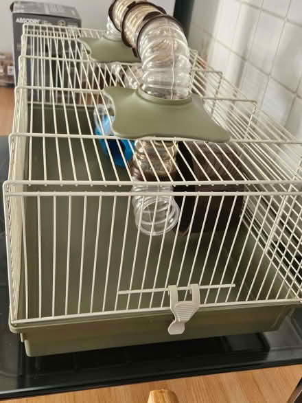 Photo of free Hamster cage (Deanshanger MK19) #2