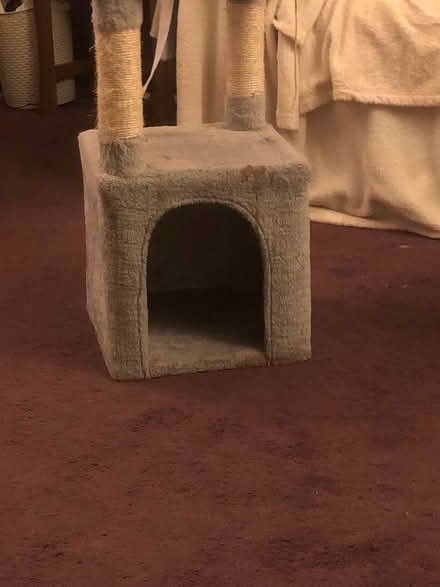 Photo of free Cats climbing tower (medium size) (Hertford SG14) #2