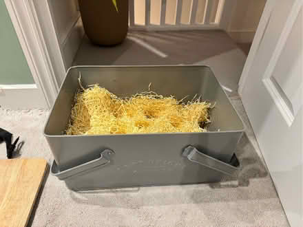 Photo of free Metal Hamper box (Nunhead SE15) #2