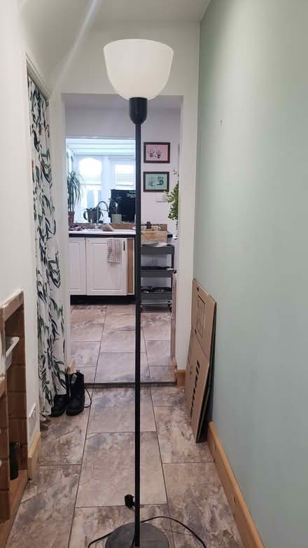 Photo of free Tall lamp (TN38) #1