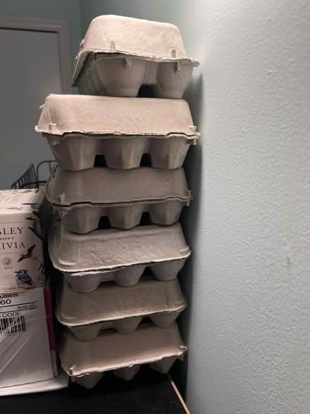 Photo of free Egg cartons (Near Whole Foods) #1