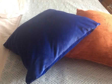 Photo of free Scatter cushions (Barnet, Stirling Corner WD6) #1