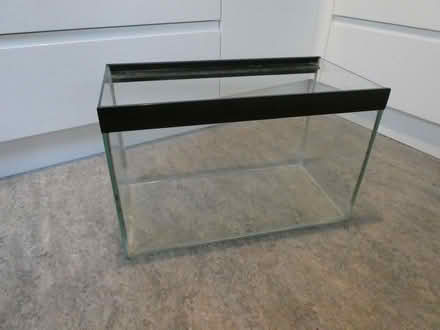 Photo of free Aquarium / vivarium (Southville BS3) #2