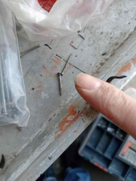 Photo of free Nails (Dovecote BS37) #3