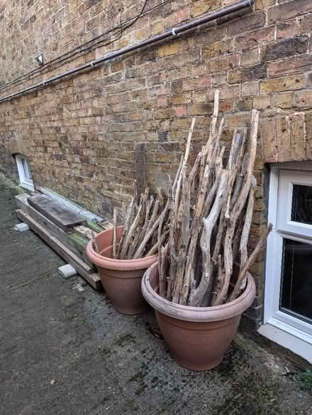 Photo of free Fire or DIY wood (CT10) #2