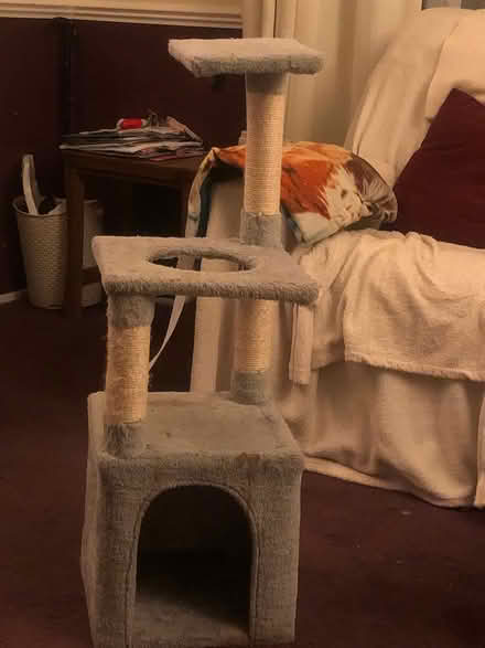 Photo of free Cats climbing tower (medium size) (Hertford SG14) #1