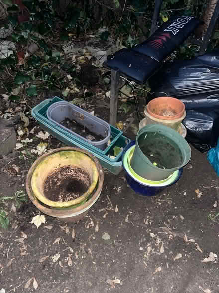 Photo of free Pots (TW20) #1