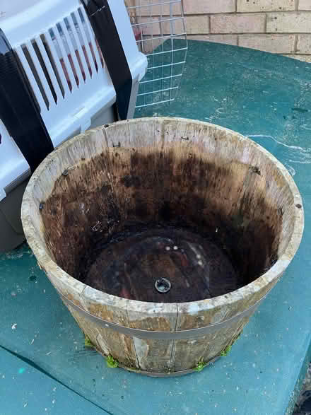Photo of free Aged barrel flower pot (Rusthall TN4) #2