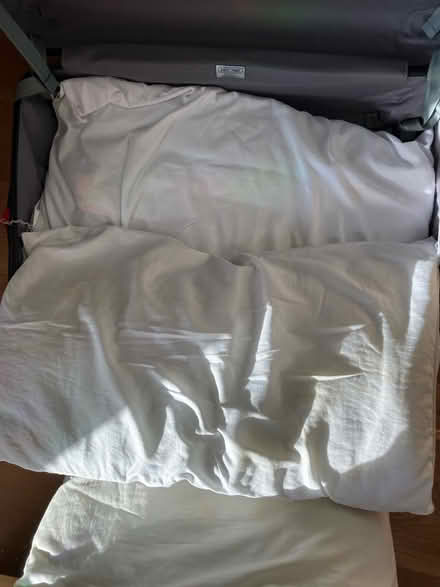 Photo of free Two pillows and one square cushion (Nw3) #1
