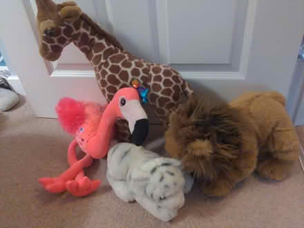 Photo of free Wild animals plushies (Deddington OX15) #1
