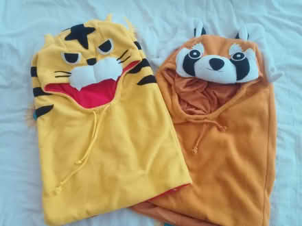 Photo of free Hoods big (South Norwood SE25) #1