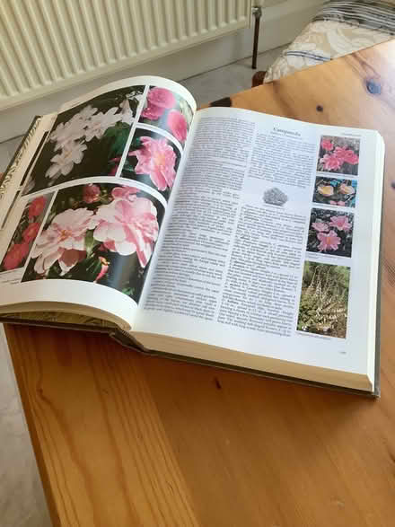 Photo of free Encyclopaedia of garden plants and flowers (Oxton CH43) #1