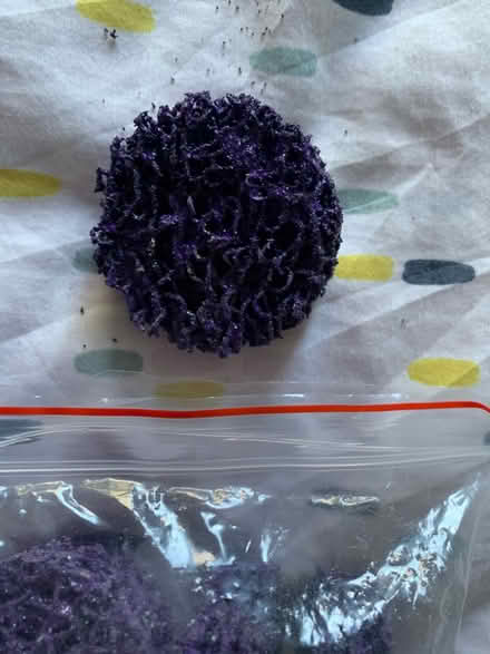 Photo of free Strip- and clean discs X 20 (Cambridge CB1) #1