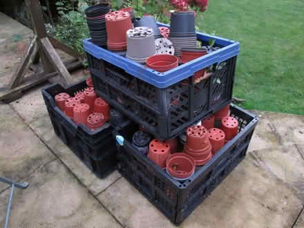 Photo of free Three crates of small plastic flower/plant pots (Chorley PR7) #1