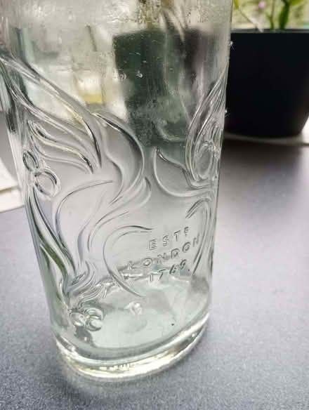 Photo of free Empty decorative gin bottle (Highters Heath B14) #2