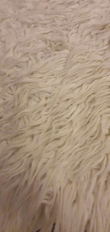 Photo of free fluffy rug (Hengistbury Head BH6) #1