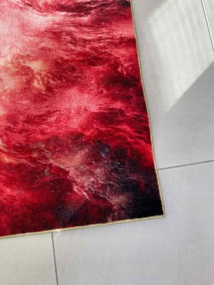 Photo of free Rug (West Common AL5) #2