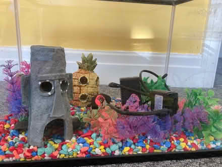 Photo of free Small Fish Tank (Aigburth L19) #3