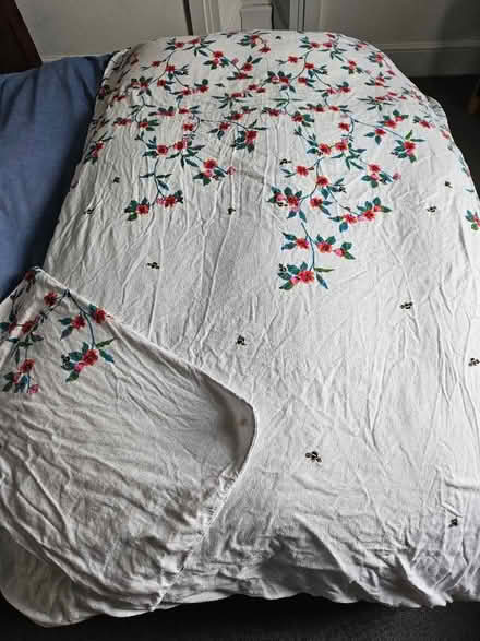 Photo of free Single duvet cover (Leckhampton GL53) #2