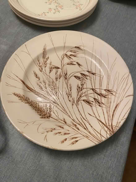 Photo of free Plates (S12 Charnock Sheffield) #4